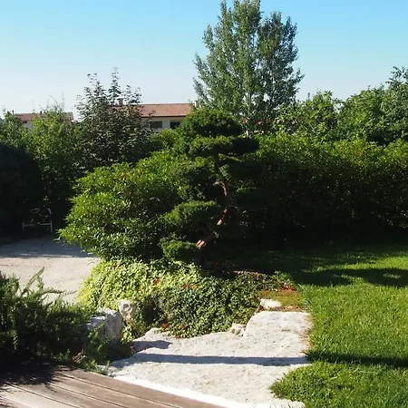 Ingrappa Cube 보르소 델 그라파